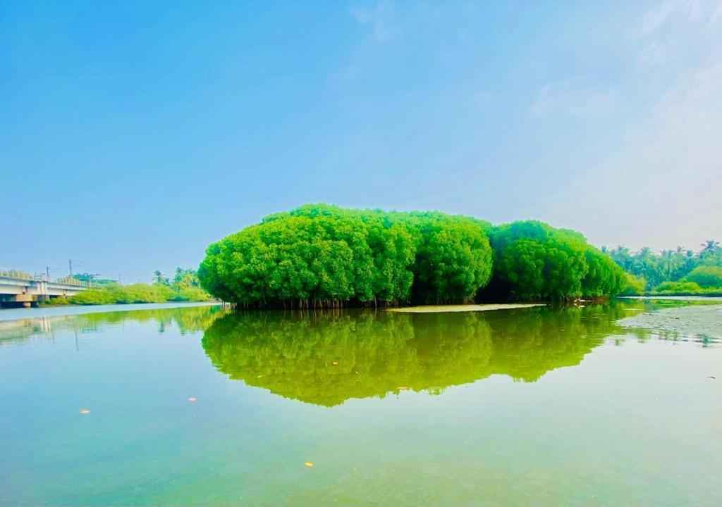Green Island Homestay Riverside โคชิโคด ภายนอก รูปภาพ