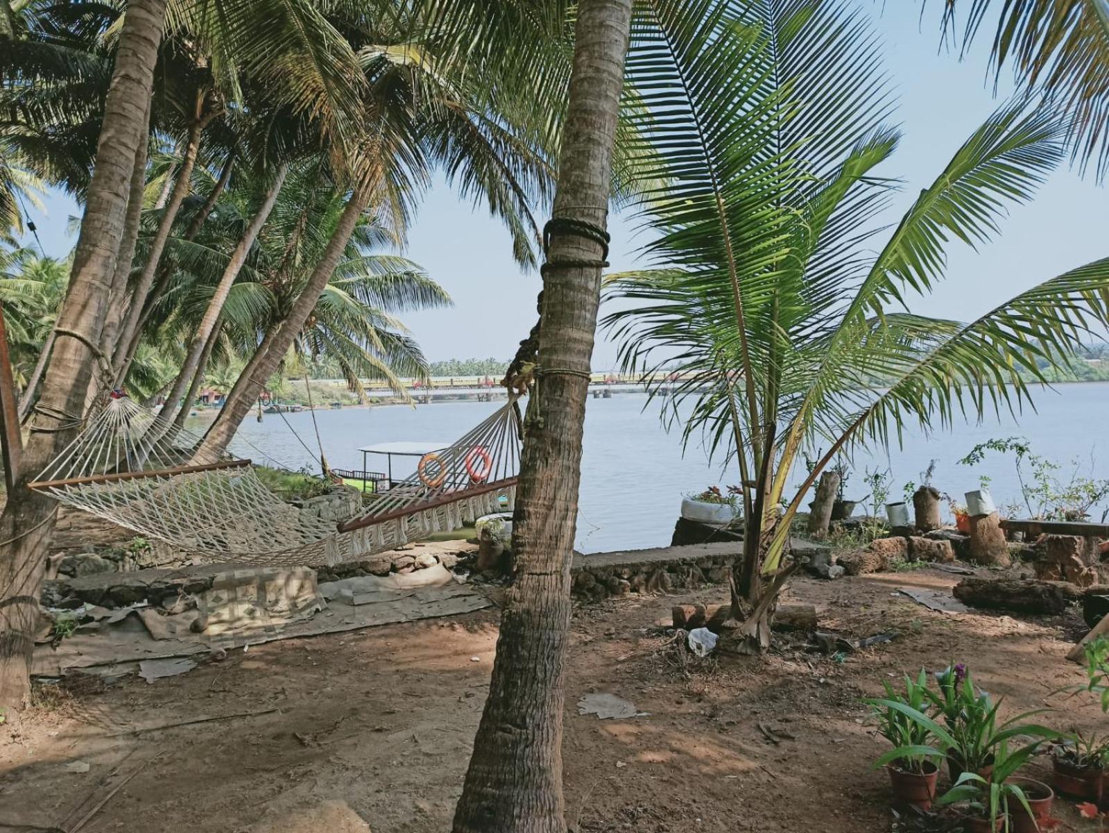 Green Island Homestay Riverside โคชิโคด ภายนอก รูปภาพ